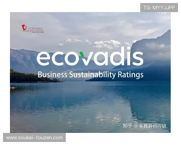 Z6集团网页：提供投资者关系、财务报告与企业社会责任信息的官方平台