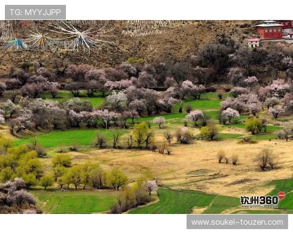 d8娱乐官网的用户评价与口碑分析,真实玩家体验分享 d8娱乐官网的用户评价与口碑分析,真实玩家体验分享